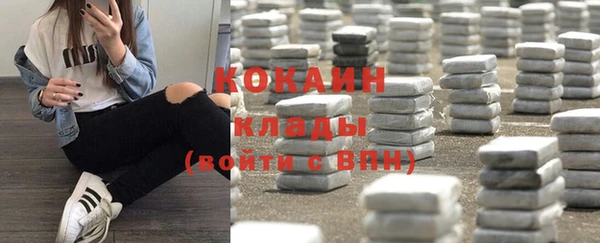 стаф Богданович