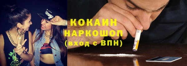 стаф Богданович
