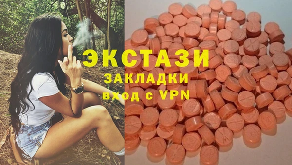 стаф Богданович
