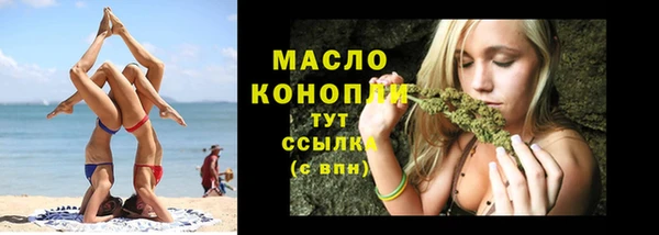 стаф Богданович