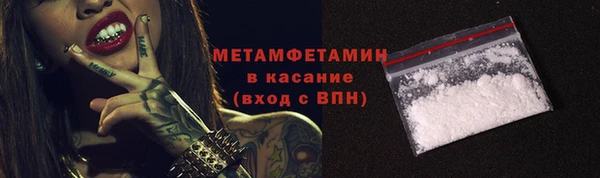 стаф Богданович