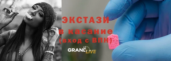 стаф Богданович
