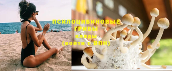 прущий лед Богородицк